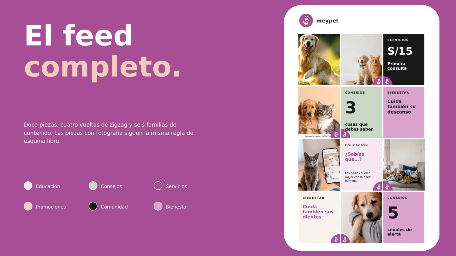 MeyPet: aplicación de la identidad en el feed